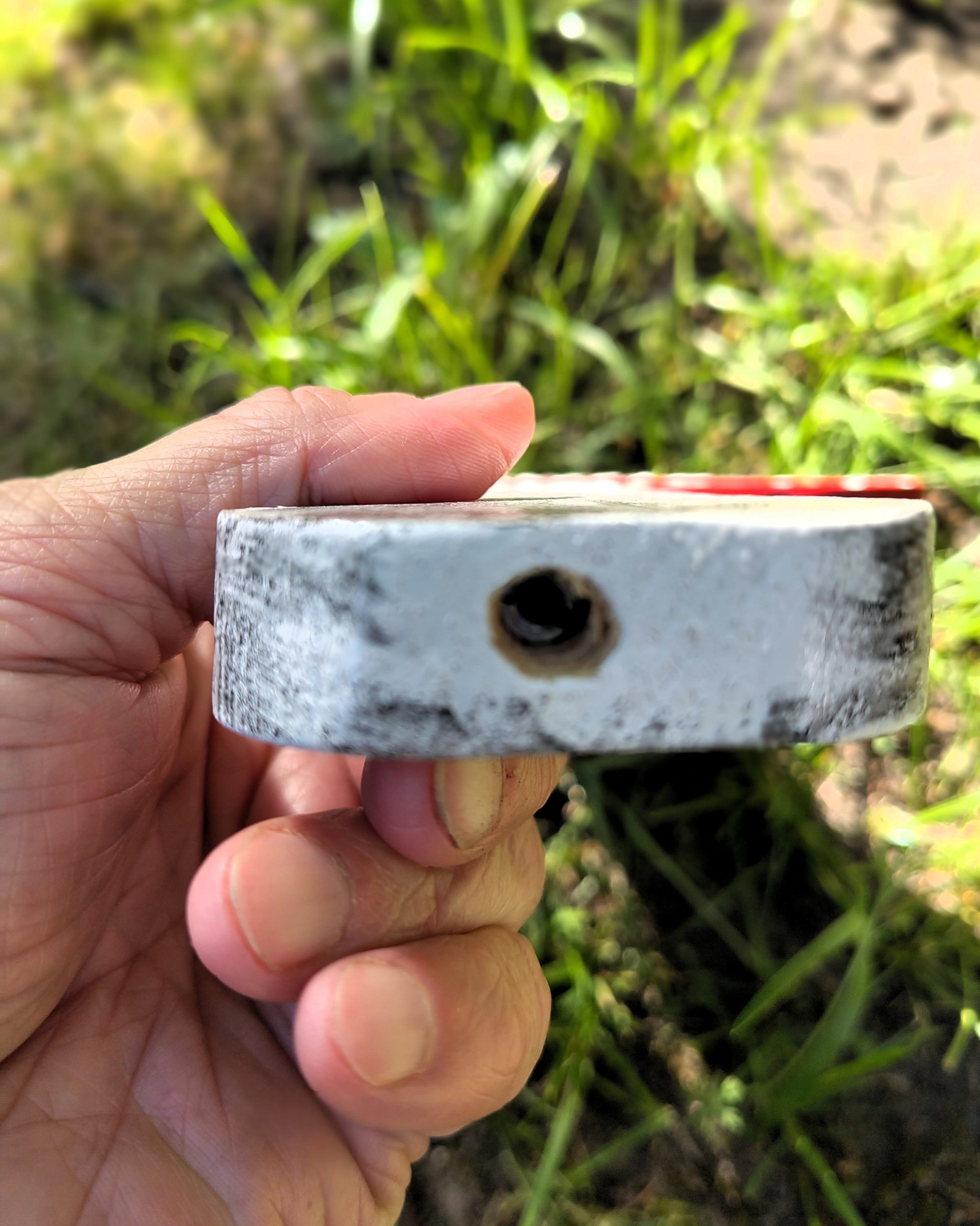 Fliegenpilz aus Holz